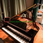 Grand Piano บนเวที วงดนตรีงานแต่งงาน